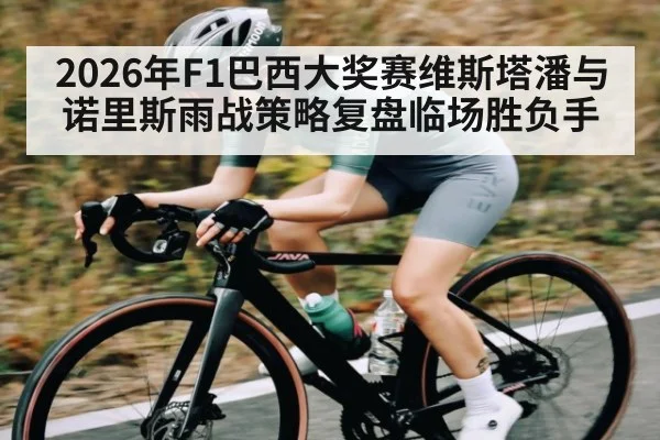 2026年F1巴西大奖赛维斯塔潘与诺里斯雨战策略复盘临场胜负手（kaiyun app）